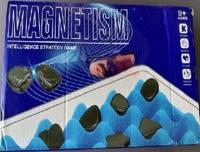 Picture of Magnetic Chess Games Recalled Due to Ingestion Hazard; Violation of Federal Regulations for Toy Magnets; Sold Exclusively on Temu.com through Outad Good Life