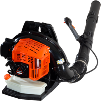 Picture of ECHO Recalls Gas-Powered Backpack Blowers Due to Fire Hazard