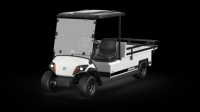 Picture of Yamaha Recalls Model Year 2021-2025 Golf Car Vehicles Due to Risk of Serious Injury or Death from Crash Hazard