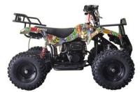 Picture of Luyuan Recalls Youth ATVs Due to Risk of Serious Injury or Death from Crash Hazard; Violate Mandatory Standard for All-Terrain Vehicles