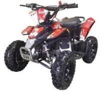 Picture of Luyuan Recalls Youth ATVs Due to Risk of Serious Injury or Death from Crash Hazard; Violate Mandatory Standard for All-Terrain Vehicles