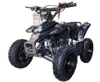 Picture of Luyuan Recalls Youth ATVs Due to Risk of Serious Injury or Death from Crash Hazard; Violate Mandatory Standard for All-Terrain Vehicles