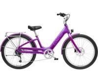 Picture of Rear Bolts on Trek and Electra Electric Bicycles Recalled Due to Fall Hazard; Manufactured by Hyena